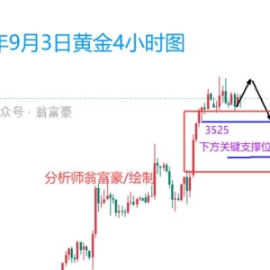 翁富豪：9.3 聚焦非农数据，黄金加速上涨下的操作建议