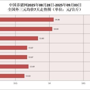 行情持续升温！猪价再迎涨势，势头向好！