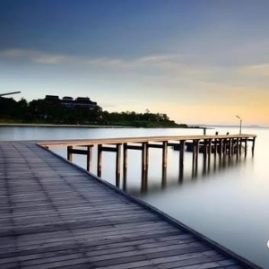 03日市场整体趋于平稳 沿海散货运价的底部盘整