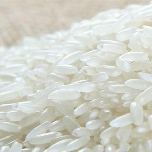 中时通：稻市稳中偏弱，关注三大关键信号！