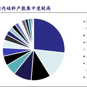 破除内卷：硅料收储控产