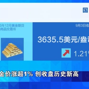 金价！创历史新高