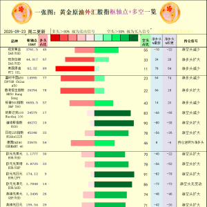 一张图：2025年9月23日黄金原油外汇股指“枢纽点+多空持仓信号”一览 ...