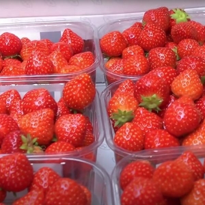 美国8月消费者支出强劲彰显经济韧性，但关税影响下通胀升温 ...