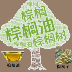 棕榈油市场日评：外围油脂施压，库存预期构筑下方支撑