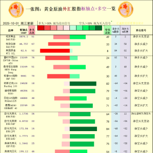 一张图：2025年10月1日黄金原油外汇股指“枢纽点+多空持仓信号”一览 ...