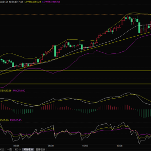 贸易紧张局势和美联储鸽派预期提供支撑，金价再创历史新高 ...