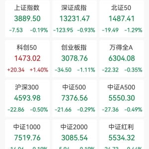 A股收评：尾盘回升三大指数跌幅收窄！沪指跌0.19%科创50逆市涨1.4%，稀土、黄金板块强 ...