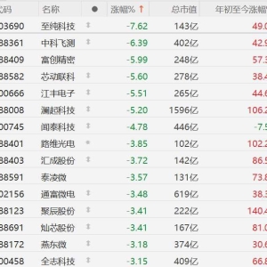 A股市场部分半导体股下跌，至纯科技跌超7%，中科飞测跌超6%，富创精密、芯动联科、江 ...