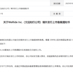 文远知行在港股完成备案！Robotaxi营收暴增8倍+全球七国牌照护航 ...