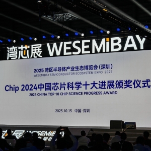 直击“湾芯展”丨2024年度中国芯片科学十大进展出炉