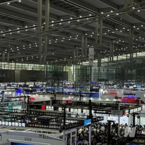 从湾芯展看“中国芯”，日行跬步终至千里