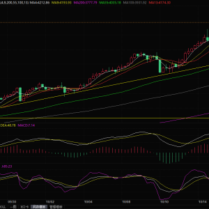 经济风险和美联储降息预期提振需求，金价飙升至新纪录高位 ...