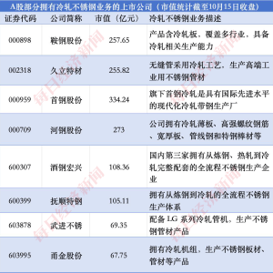 马斯克星舰发射带火“30X不锈钢”，A股上市公司能否承接“中国版星舰”机遇？ ...