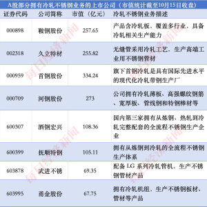 马斯克星舰发射带火“30X不锈钢”，A股上市公司能否承接“中国版星舰”机遇？ ...