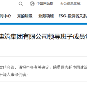 中建集团通报中央有关决定