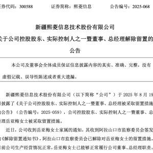 300588，总经理已解除留置！