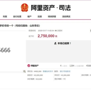 1**66666666，275万元；1***8888888，127万元！