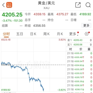 黄金，一度跌破4200美元大关，创四年来最大跌幅！