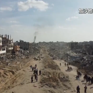 特朗普：哈马斯若违反协议将面临“残酷”回应！哈马斯最新表态 ...