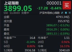 沪指半日下跌0.44%，小微股保持活跃