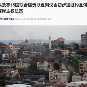 埃及、约旦、卡塔尔、沙特、巴基斯坦、印尼等15国强烈谴责，警告以色列！ ...