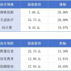 广东连续7年成为第一生育大省；香港推出无人机系统专用牌照丨大湾区财经早参 ...