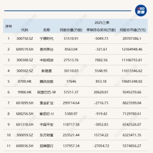 三季度基金重仓股全扫描：减持宁德时代，大买中际旭创、新易盛 ...