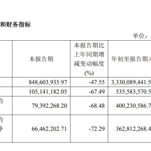 前三季度净利润同比下滑28%，老白干酒全价格带、全渠道集体“失速”？ ...