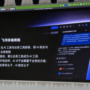 飞书入局“双11”，不做“选手”做AI“军火商”