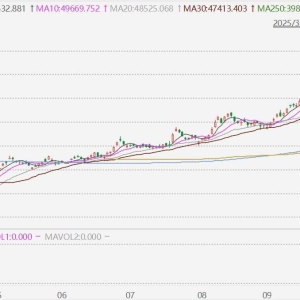 日本股市涨0.04%报51325.61点，创收盘历史新高！日经225指数年内累涨28.65% ...