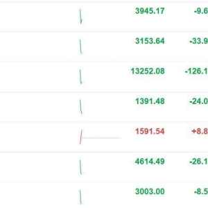 A股三大指数走低，创业板指跌幅扩大至1.06%，沪指跌0.24%；北证50逆势涨0.56%！贵金属 ...