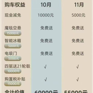 新能源免购置税倒计时：多家车企宣布税费“兜底”政策 ，年底抢单大战开始！ ...