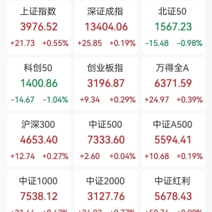 A股收评：三大指数收涨，沪指涨0.55%创业板指涨0.29%北证50跌0.98%，钍基熔盐概念、海 ...