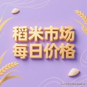 2025年11月3日稻米价格：价格分化运行态势明显