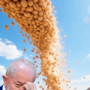 一夜之间，巴西沉默了巴西大豆价格攀升至650美元/吨。