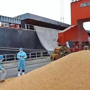 巴西大豆涨价中国拒买，巴西迅速报复！对华无纺布启动反倾销调查 ...