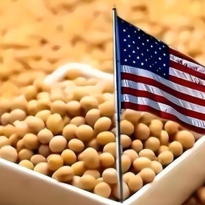 特朗普失算，中国狂买美豆背后，藏着一盘大棋，美国财政先亮红灯 ...