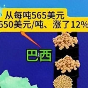 巴西大豆坐地提价遭反杀！中国这波操作太解气，全球粮商彻底傻眼 ...