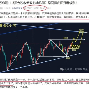 万锦晟11.4黄金连续上冲失败，早间探底回升看震荡！