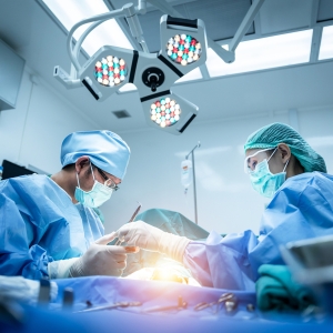 人体移植猪肾新进展！美国正式启动规模化临床试验