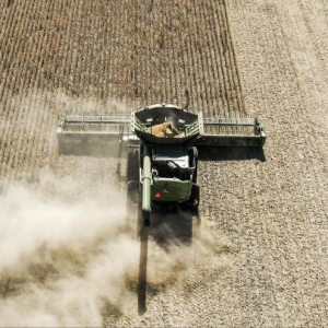 买美国大豆不是妥协，80%进口依赖背后，藏着粮食安全智慧！ ...