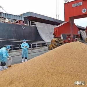 中国抢空阿根廷130万吨大豆，巴西傻眼：本想敲一笔，今全倒海里 ...