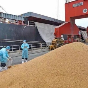 中国抢空阿根廷130万吨大豆，巴西傻眼：本想大敲一笔，如今全倒海里 ...