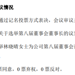 “95后”女商人林晓晴连任成都路桥董事长，去年薪酬92万元