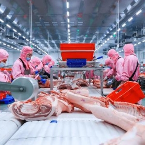 国内猪价跌破警戒线，海外养殖利润翻倍，猪企出海是救命还是豪赌 ...