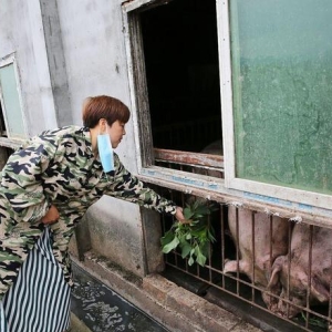 猪业炸锅！温氏全国关7场，黎少松放狠话：禁养区猪场不退，全行业都是炮灰 ...