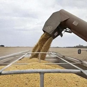 18万吨美豆背后的中美贸易暗战，特朗普关税堡垒现裂痕！