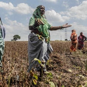 莫迪硬刚美国陷死局！被逼弃俄油买美豆，农业遭冲击，中国需防范 ...